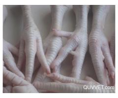 FROZEN CHICKEN FEET AND PAWS FROM BRAZIL